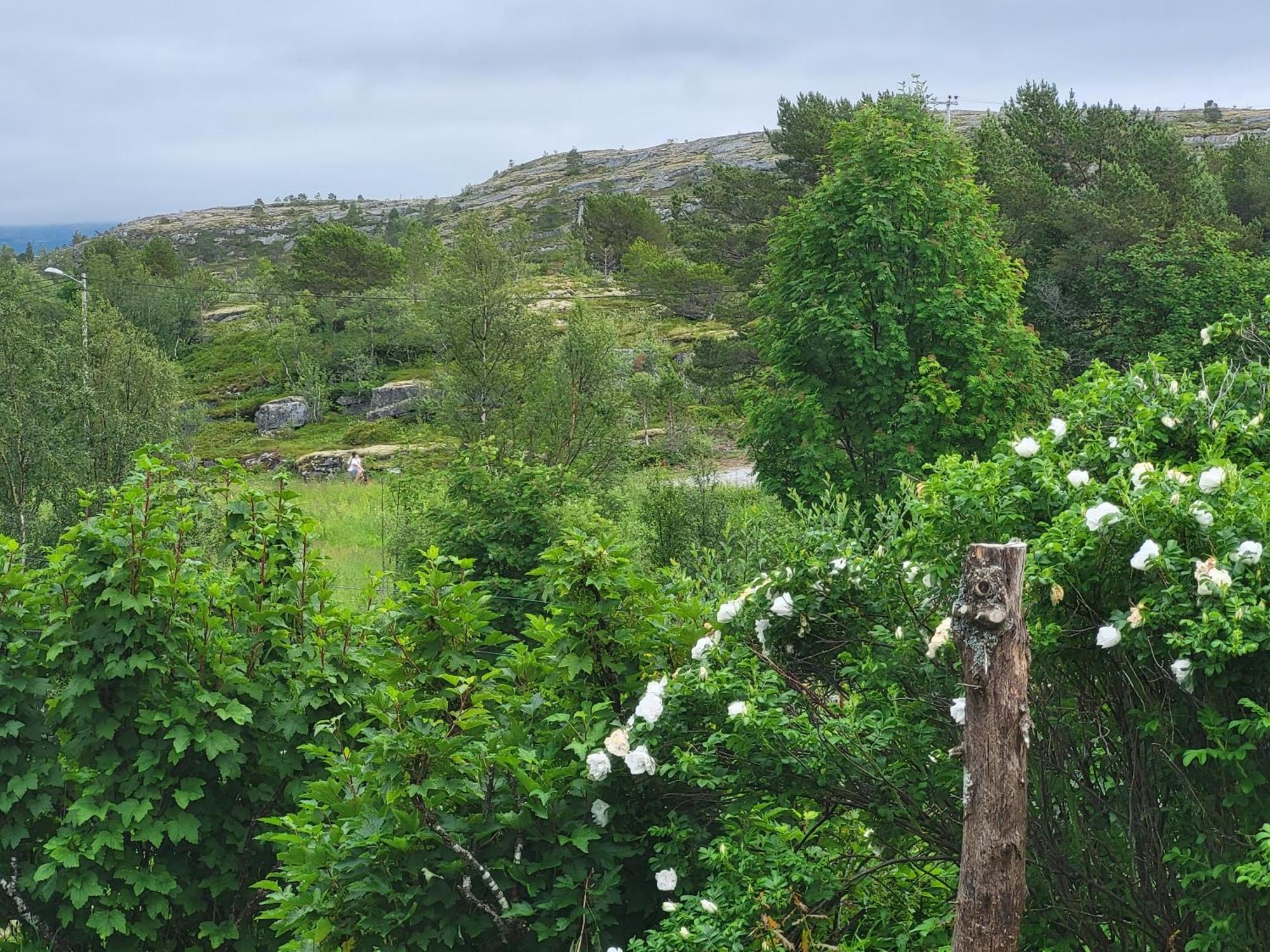 Saltstraumen Paul'S House 빌라 외부 사진