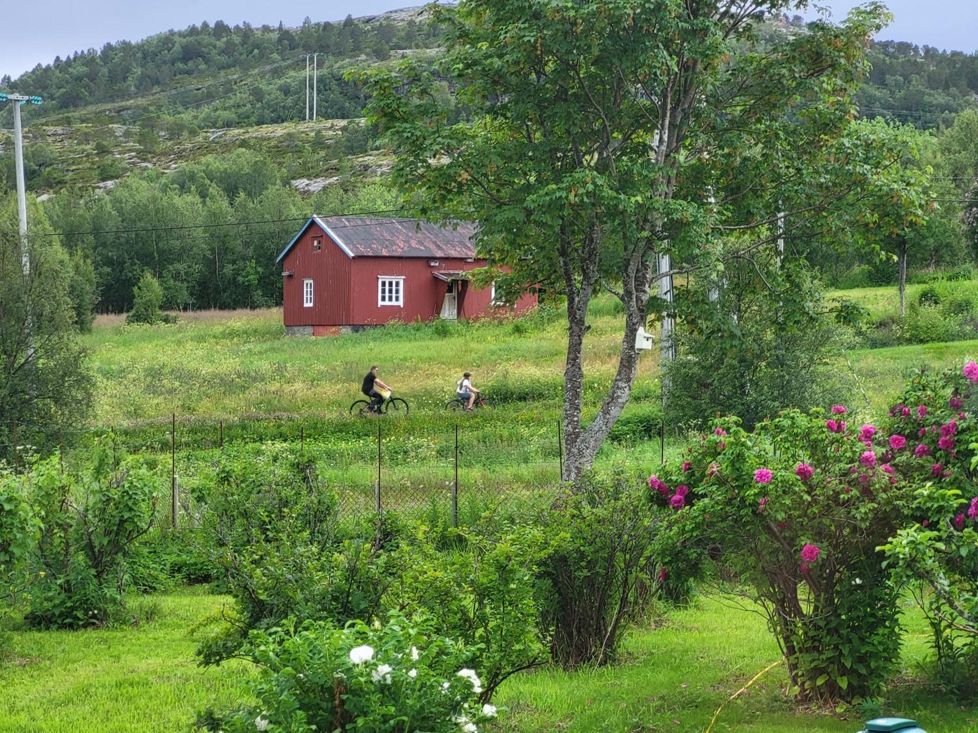 Saltstraumen Paul'S House 빌라 외부 사진